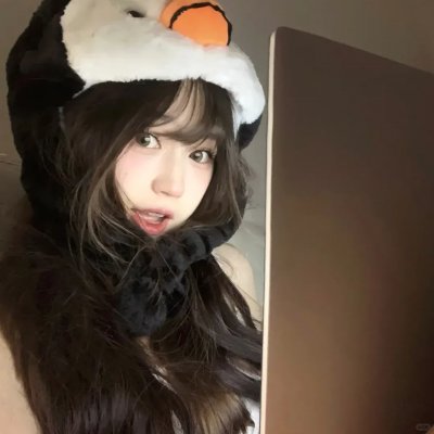 护垫侠